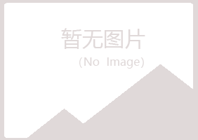 铁岭清河迷失制造有限公司